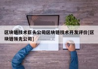 区块链技术巨头公司区块链技术开发评价[区块链领先公司]